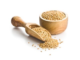 Sesame Seeds